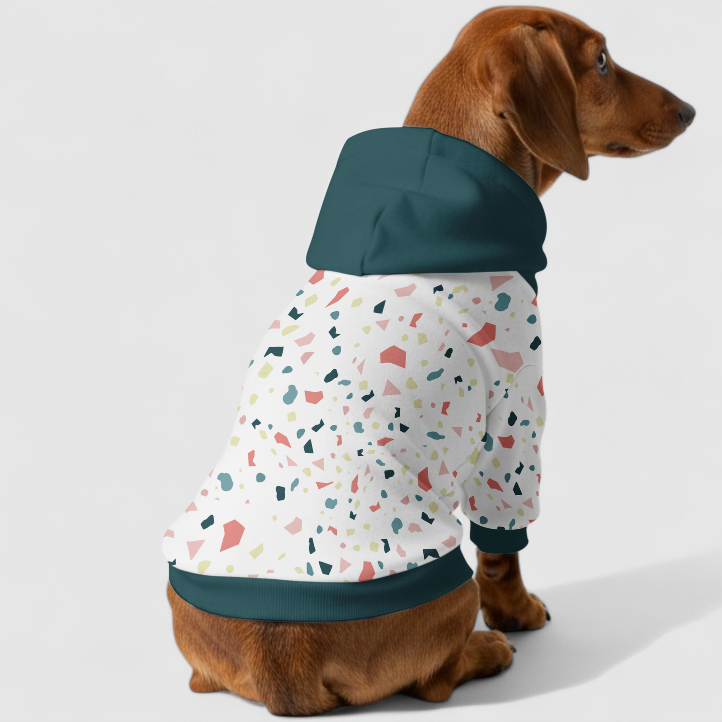 Elana - Dachshund hoodie