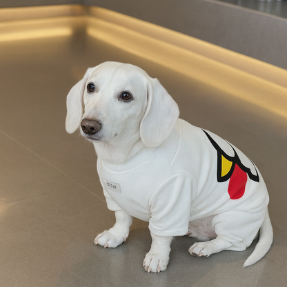 VelviHog-Dachshund-Cartoon-Jumpsuit.jpg
