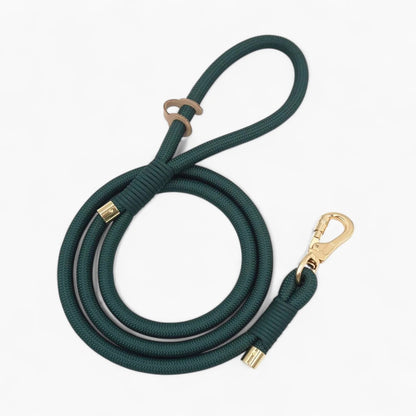 Velvuxe-Dachshund-Collar-Leash-Set.jpg