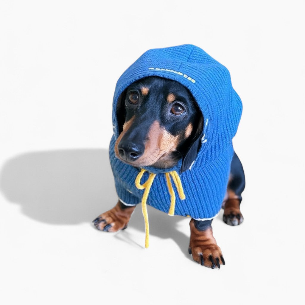 WagPup-Dachshund-Knitted-Wool-Hat.jpg