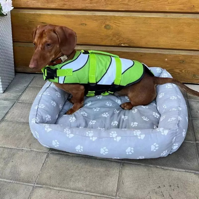 WagWave Dachshund Life Jacket Dachshund Shop