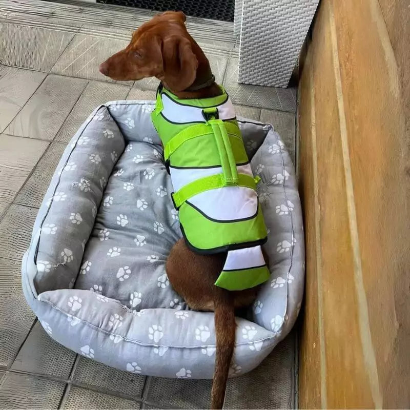 WagWave-Dachshund-Life-Jacket-www.doxie.us