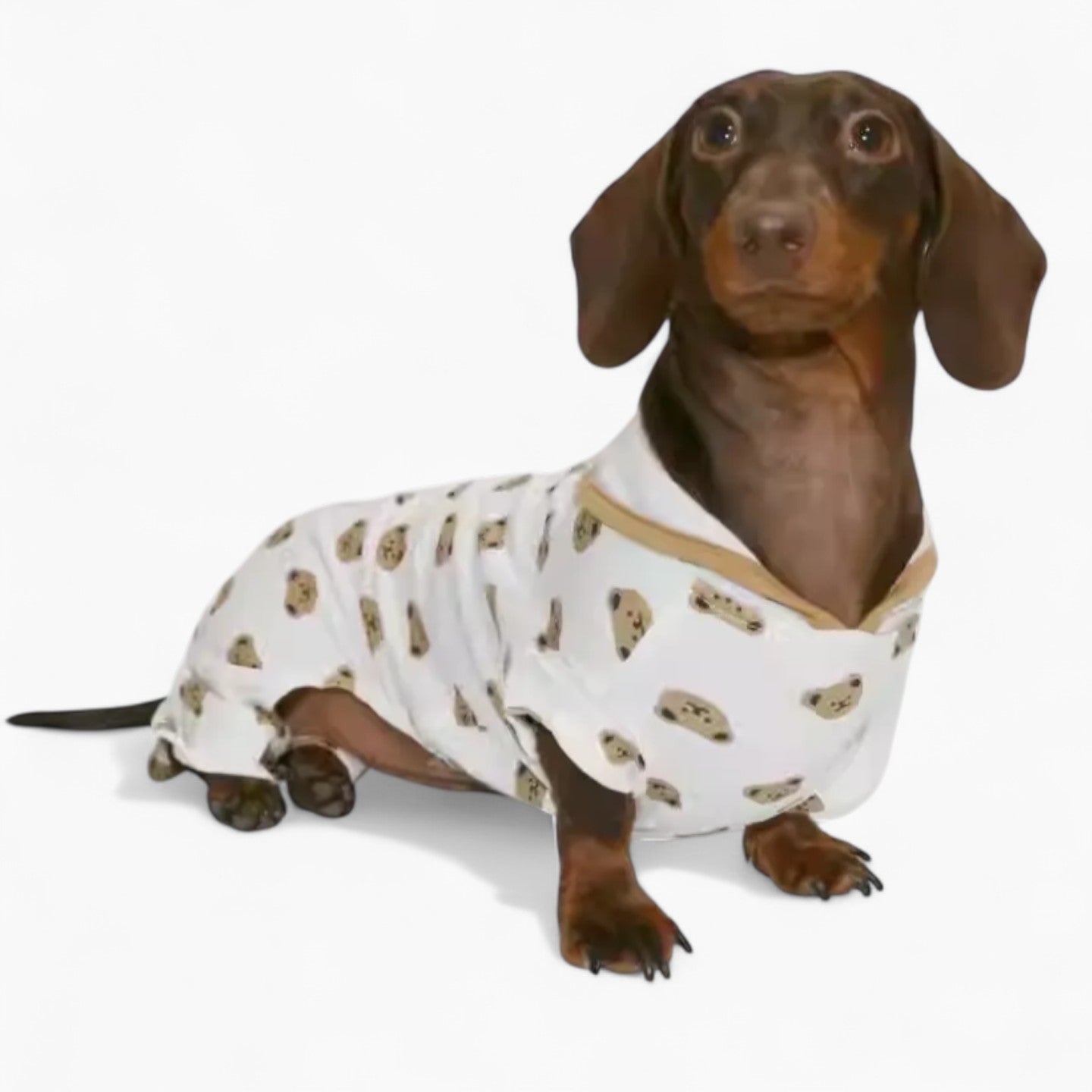 WieniBear-Dachshund-Bear-Print-Pajamas.jpg