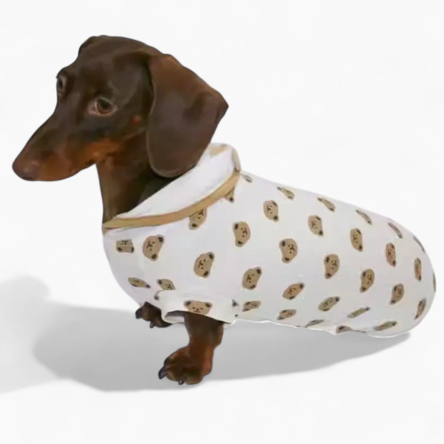 WieniBear-Dachshund-Bear-Print-Pajamas.jpg