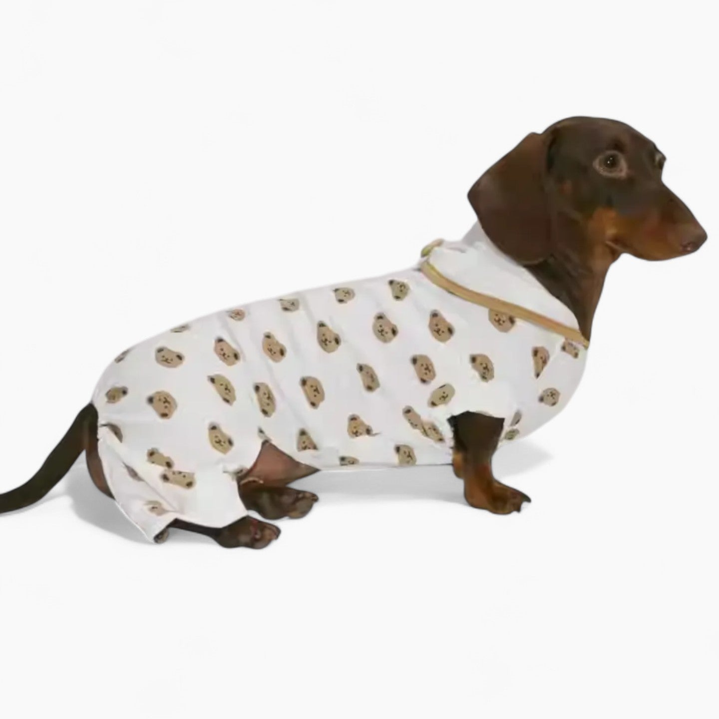 WieniBear-Dachshund-Bear-Print-Pajamas.jpg