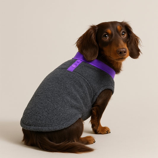 Cozy Doxie Sweater Soft Fleece Vest for Your Dachshund