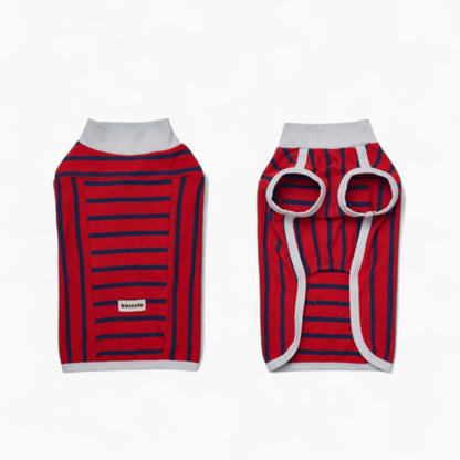 ZepHund-Dachshund-Striped-Shirt.jpg