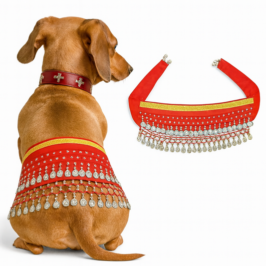 Zestara-Dachshund-Belly-Dance-Costume.jpg