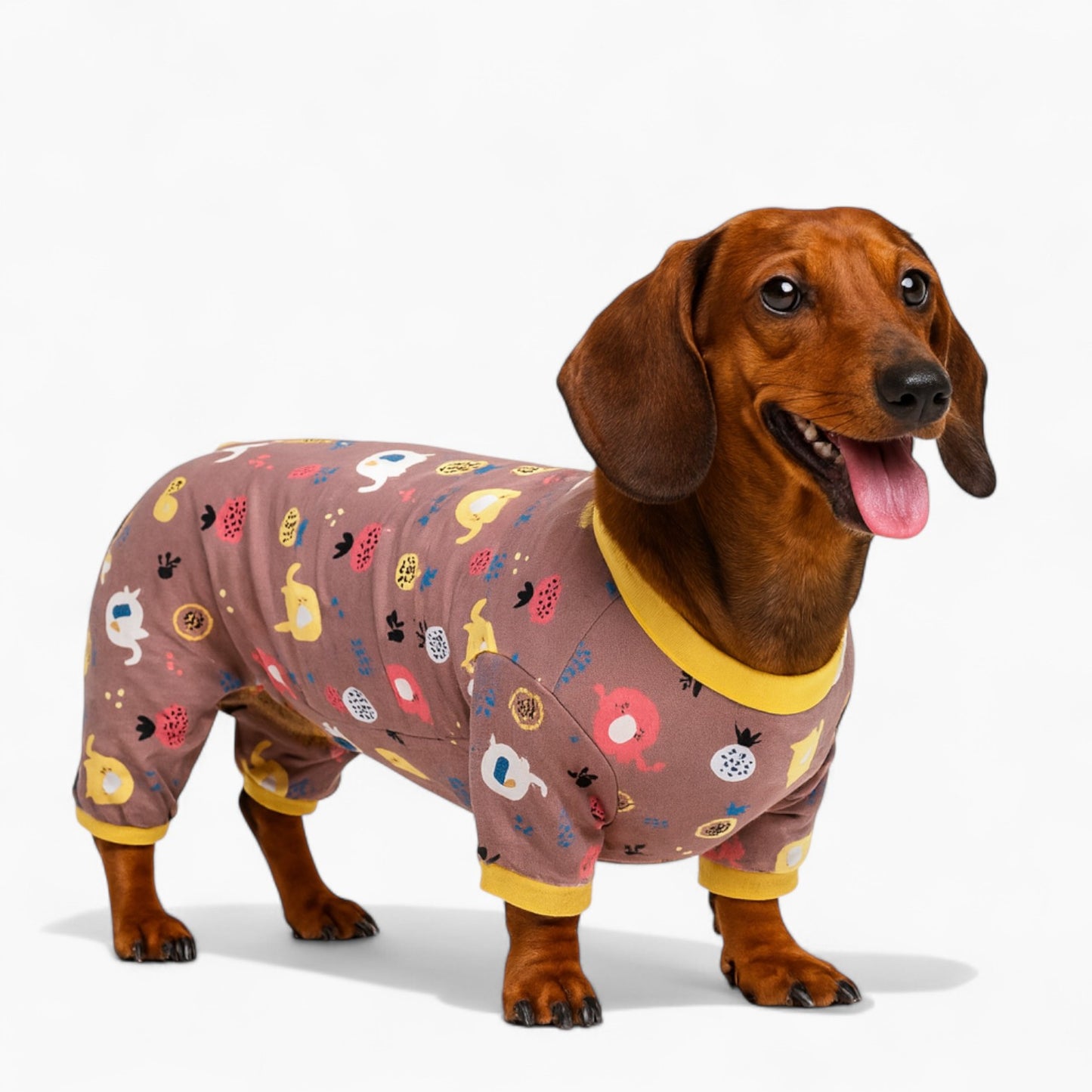 ZooPaws-Dachshund-Printed-Pajamas.jpg