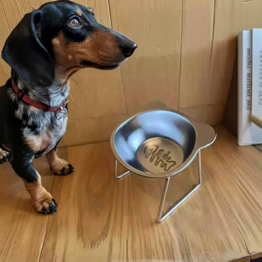 Dachshund Food Water Bowl – Non-Slip Durable Stainless Steel Feeder