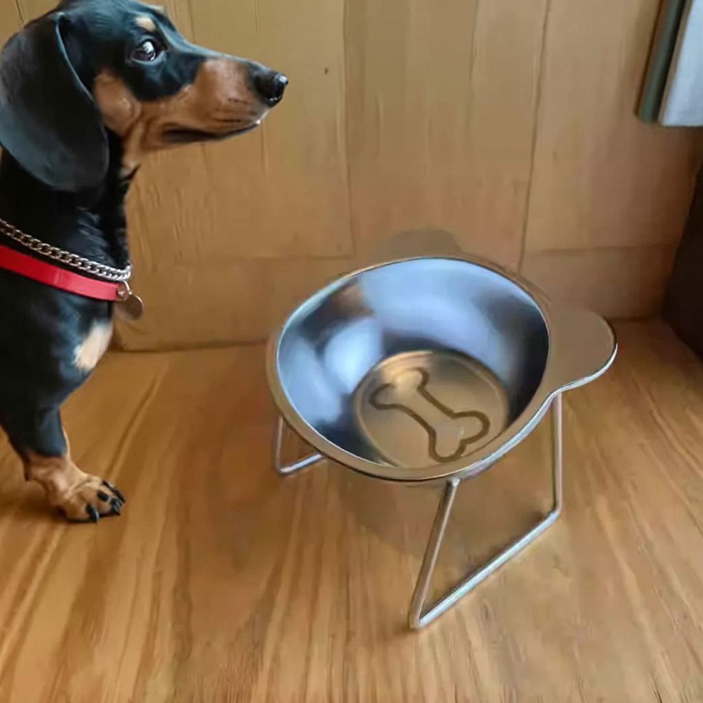 Dachshund Food Water Bowl – Non-Slip Durable Stainless Steel Feeder