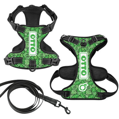 Heinz - Personalized No-Pull Dachshund Dog Harness
