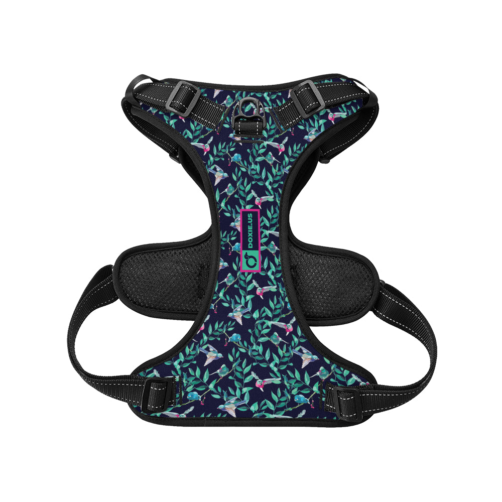 Sophie -  No-Pull Dachshund Dog Harness