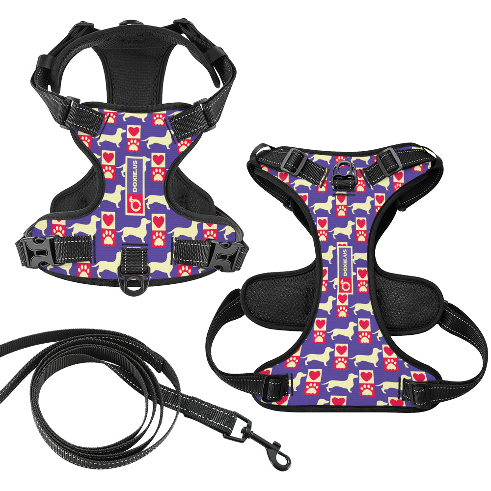 Bella -  No-Pull Dachshund Dog Harness
