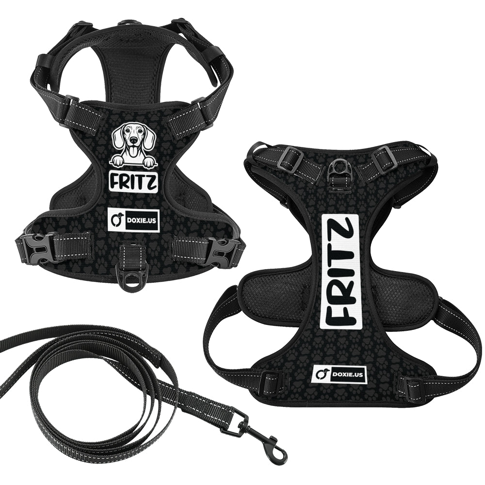 Hans -  Personalized No-Pull Dachshund Dog Harness