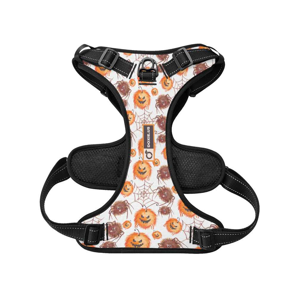 Chloe -  No-Pull Dachshund Dog Harness