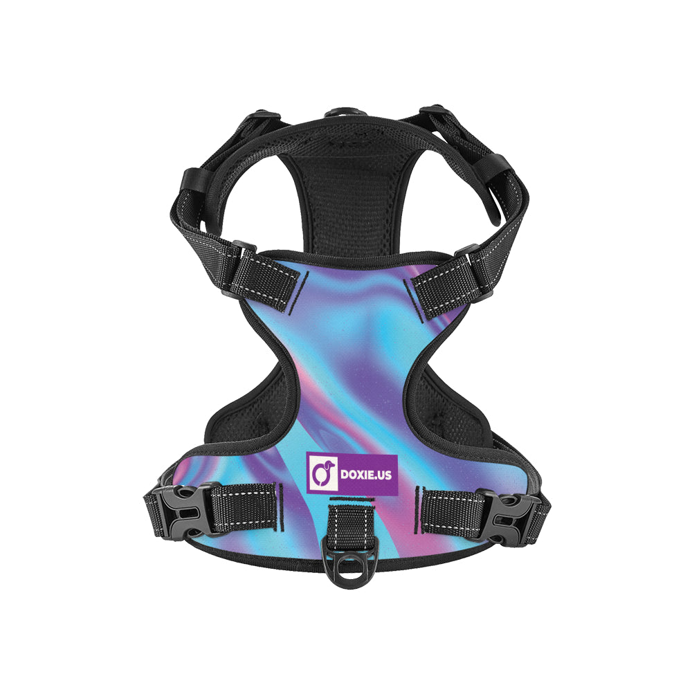 Betty -  No-Pull Dachshund Dog Harness