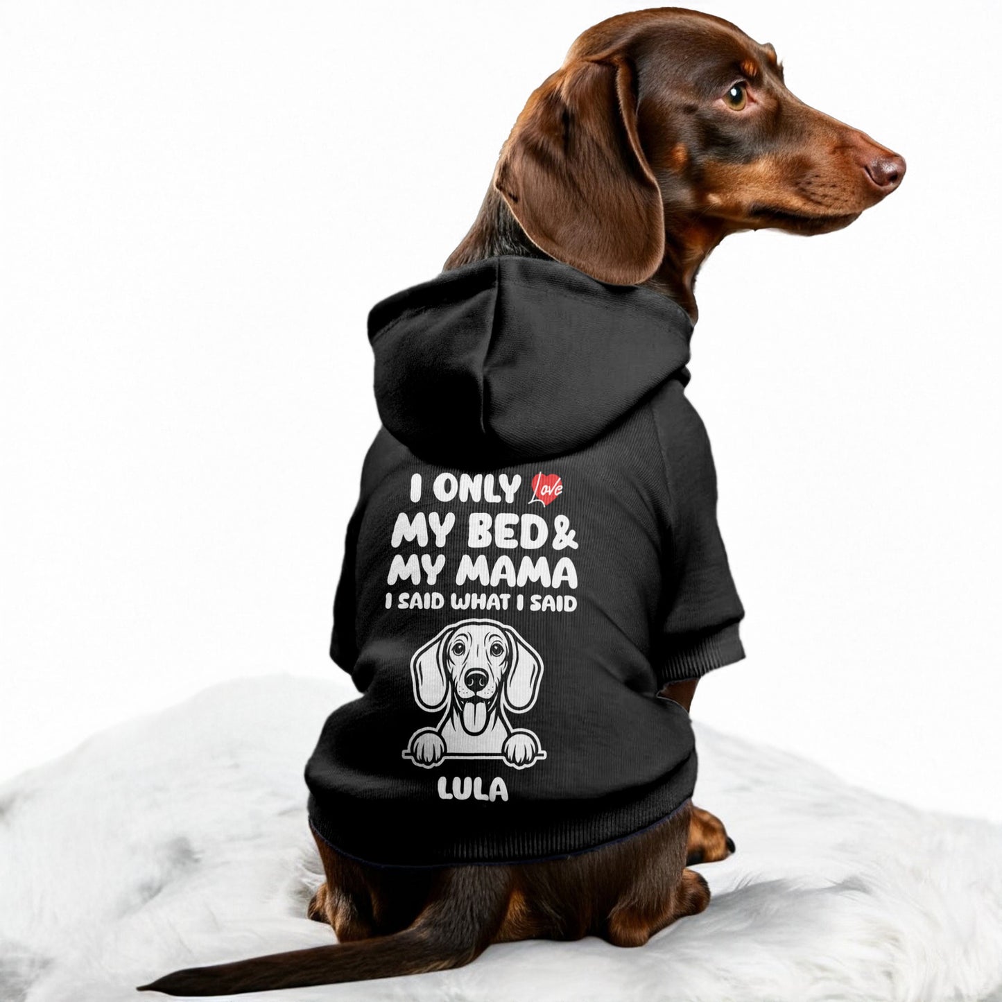 I ONLY LOVE  - Personalized Dachshund Hoodies with MAMA or DADA design and your doxie name– Stylish, Cozy, and Premium 100% Cotton