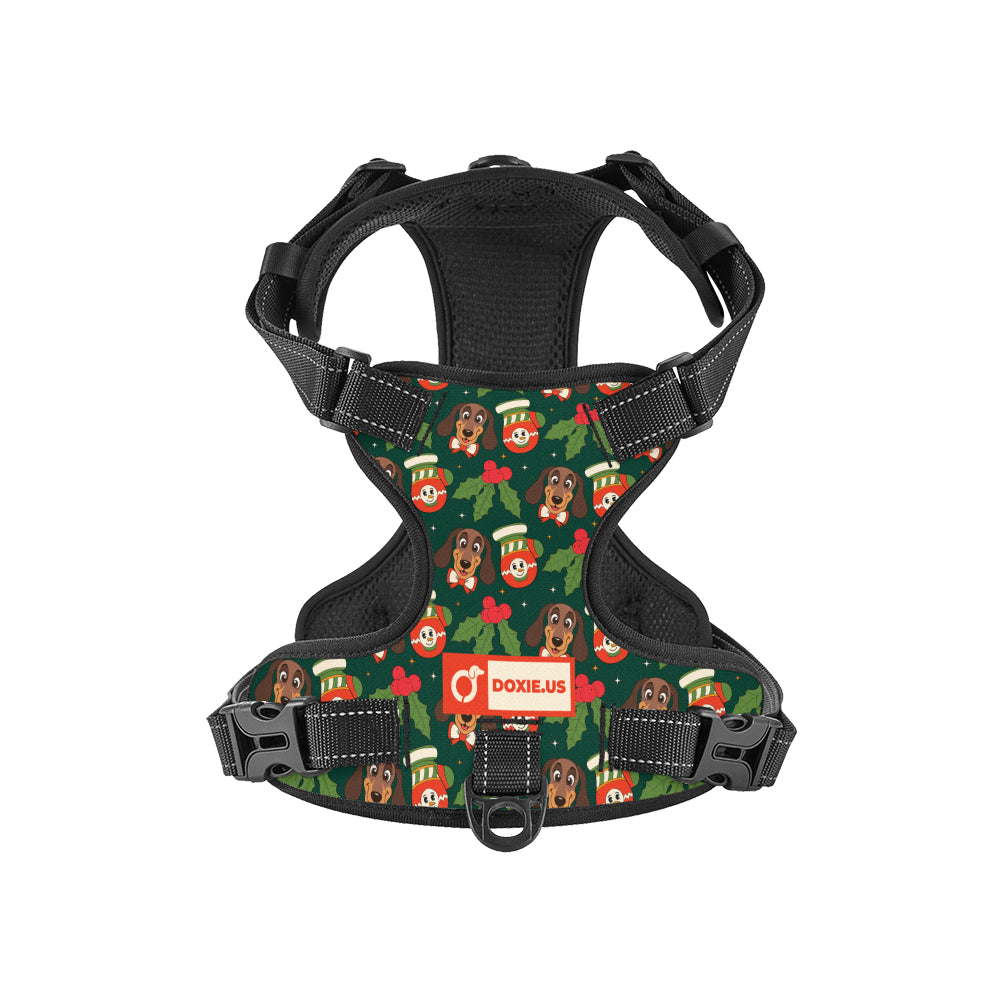 Bailey -  No-Pull Dachshund Dog Harness