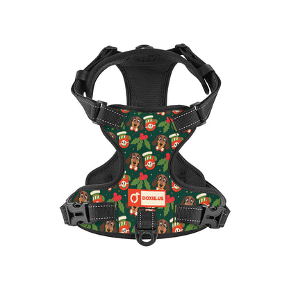 Bailey -  No-Pull Dachshund Dog Harness