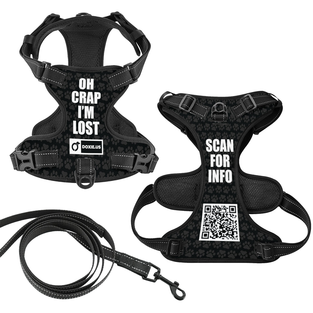 Cloud  -  Personalized No-Pull Dachshund Dog Harness