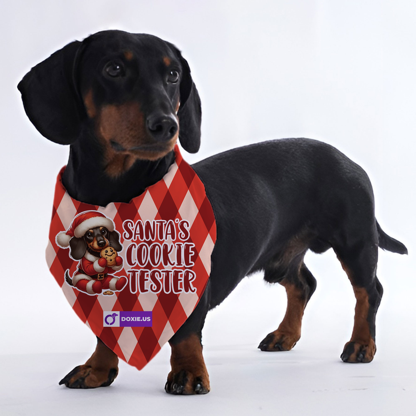 Santa's Cookie Tester - Bandanas for Dachshunds