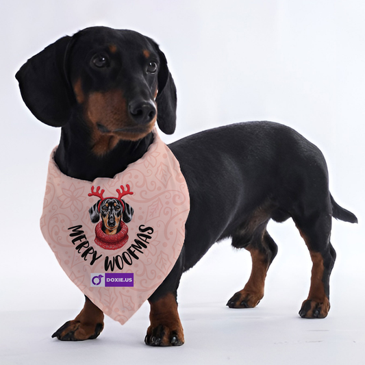 Merry woofmas  - Bandanas for Dachshunds