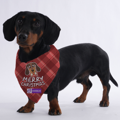 Merry christmas - Bandanas for Dachshunds