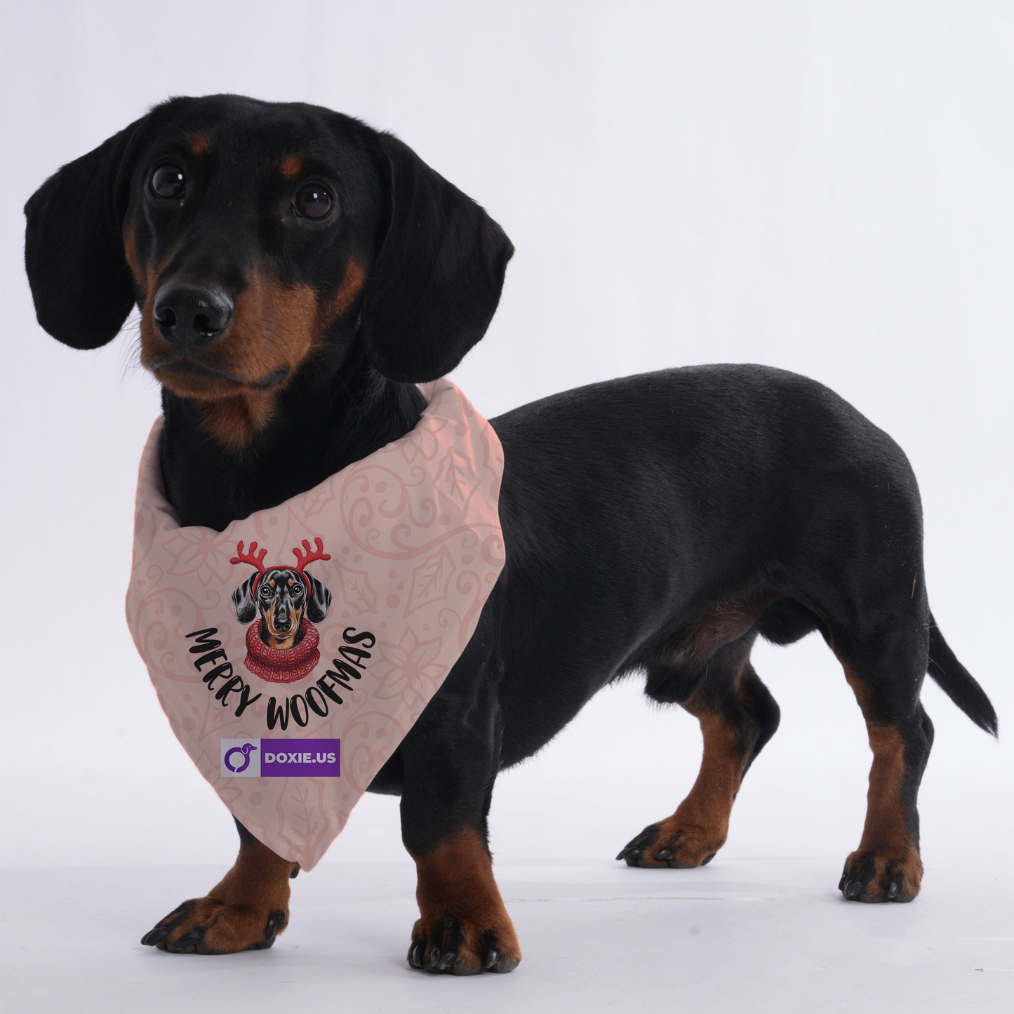 Merry woofmas  - Bandanas for Dachshunds