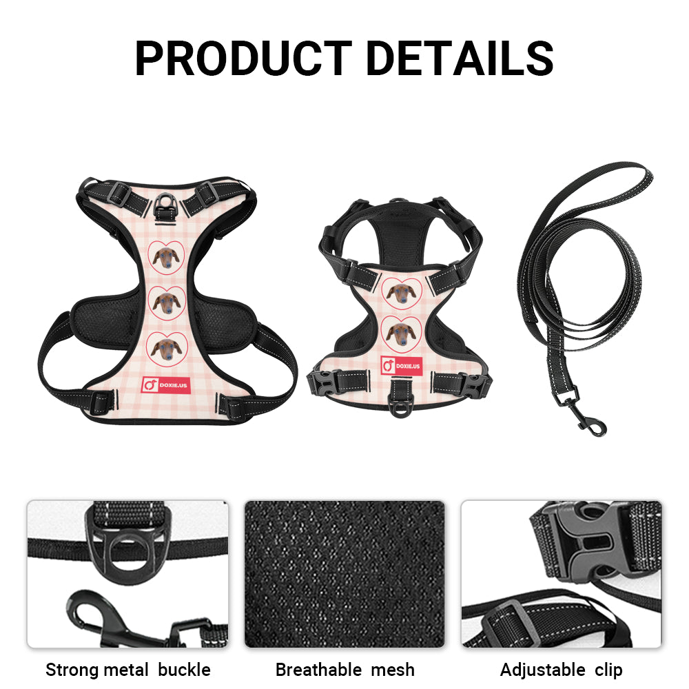 Juno -  Personalized No-Pull Dachshund Dog Harness