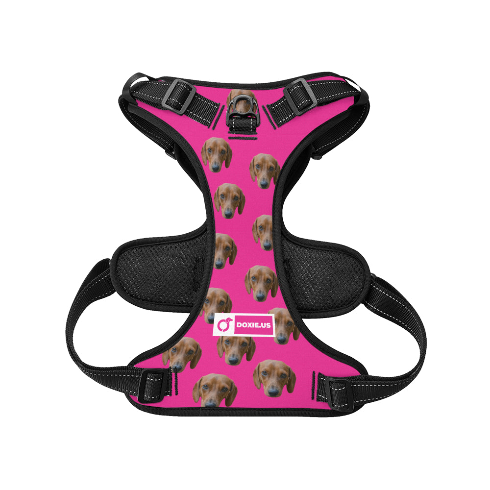 Gunner -  Personalized No-Pull Dachshund Dog Harness