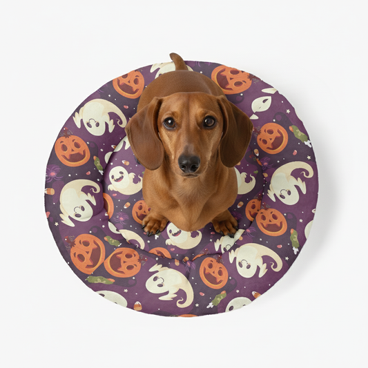 Ace - Cloud-Comfort Large Dachshund Bed | Anti-Anxiety Donut Bed for Dachshunds