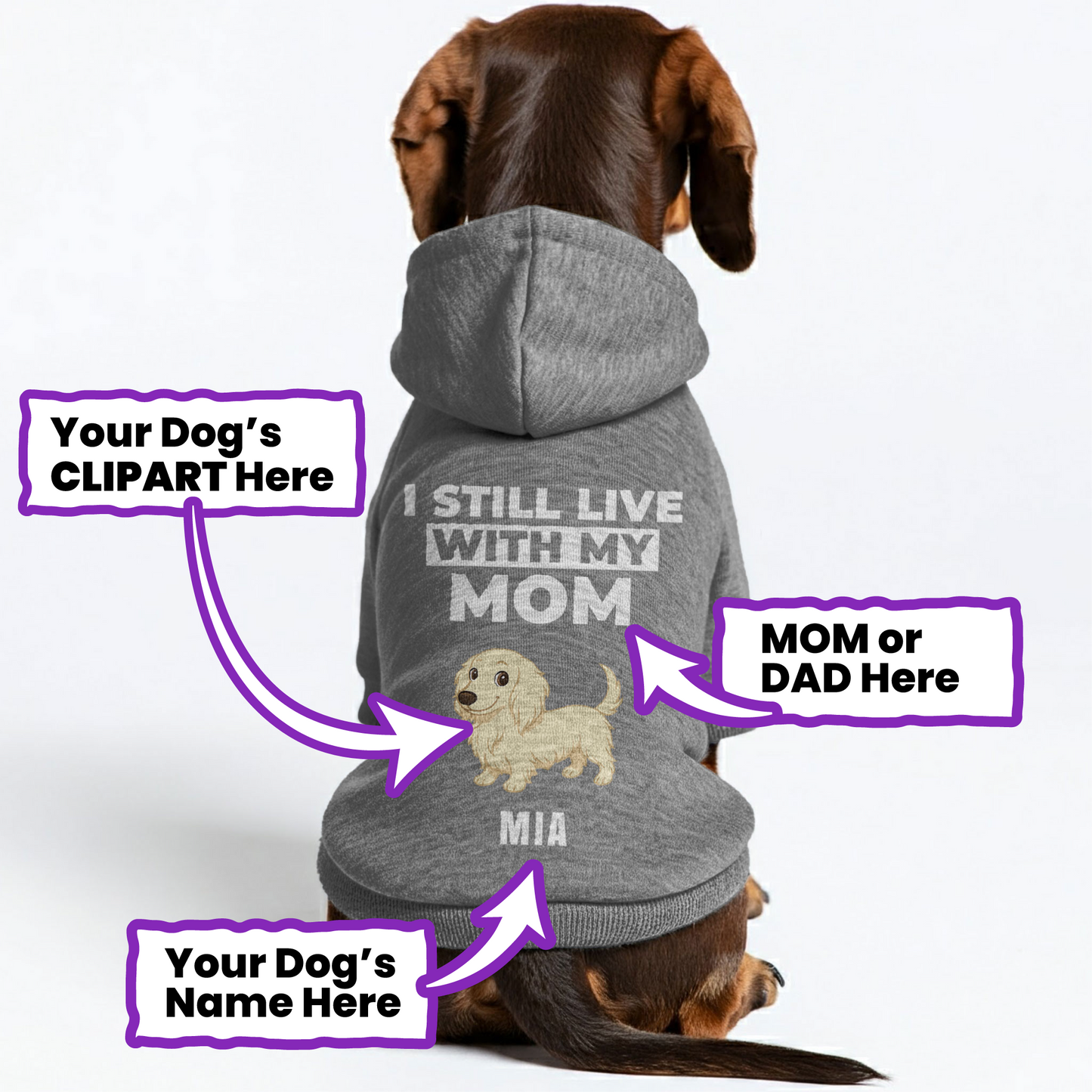 I Still Live – Personalized Dachshund Hoodies with Your Doxie’s Name & Clipart – Stylish, Cozy & Made from Premium 100% Cotton