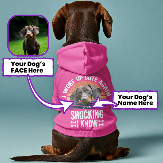 I Woke Up – Personalized Dachshund Hoodies with Your Doxie’s Name & Photo – Stylish, Cozy & Made from Premium 100% Cotton