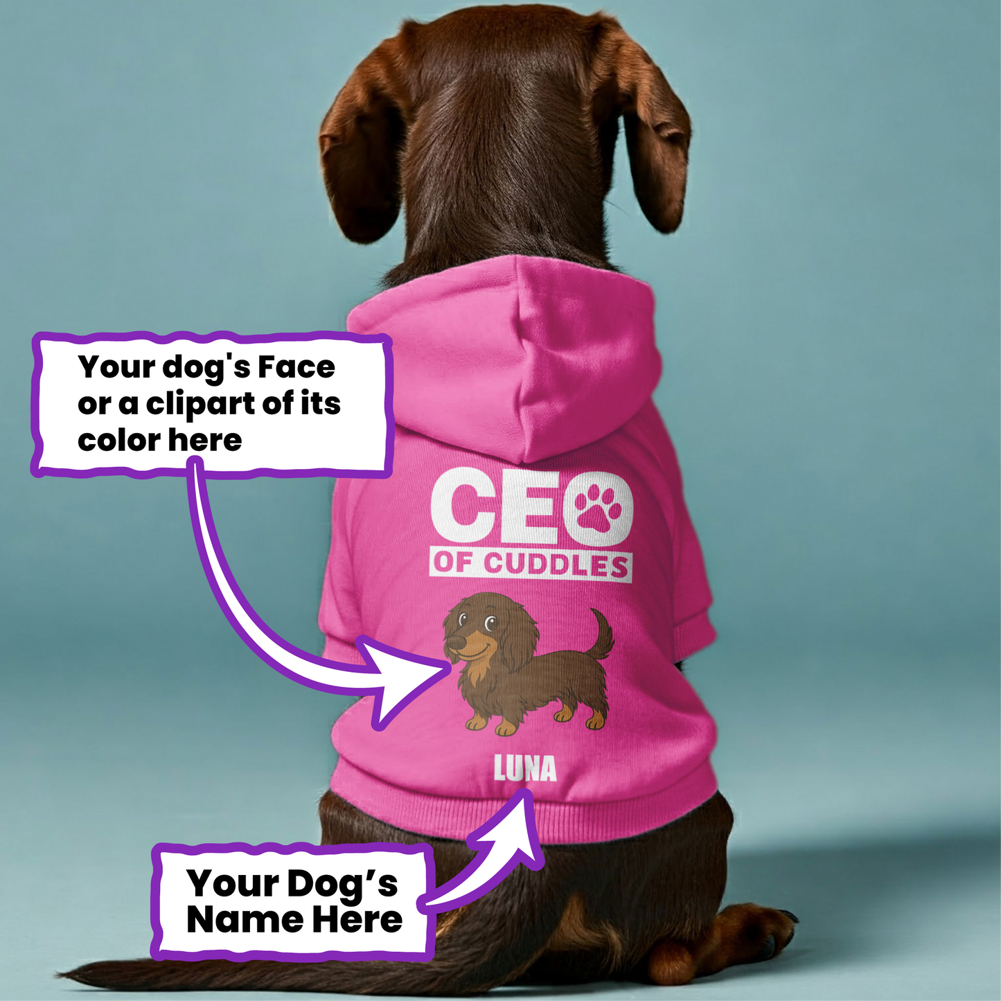CEO of Cuddles – Personalized Dachshund Hoodies with Your Doxie’s Name & Photo or Clipart– Stylish, Cozy & Made from Premium 100% Cotton