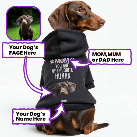 Favorite Human – Personalized Dachshund Hoodies with Your Doxie’s Name & Photo – Stylish, Cozy & Made from Premium 100% Cotton