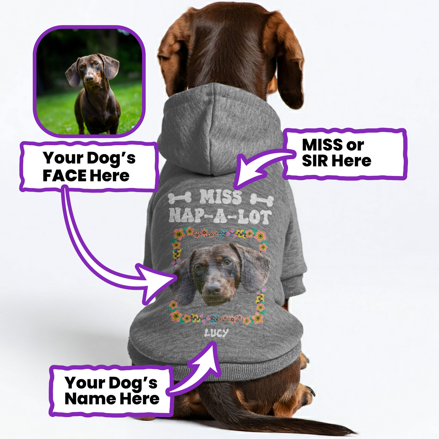 Nap-a-Lot  – Personalized Dachshund Hoodies with Your Doxie’s Name & Photo – Stylish, Cozy & Made from Premium 100% Cotton