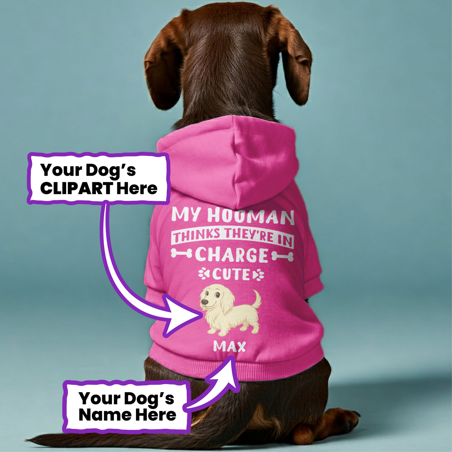 My Hooman – Personalized Dachshund Hoodies with Your Doxie’s Name & Clipart – Stylish, Cozy & Made from Premium 100% Cotton