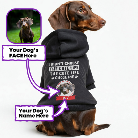 Cute Life – Personalized Dachshund Hoodies with Your Doxie’s Name & Photo – Stylish, Cozy & Made from Premium 100% Cotton