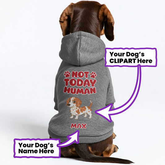 Not Today – Personalized Dachshund Hoodies with Your Doxie’s Name & Clipart – Stylish, Cozy & Made from Premium 100% Cotton