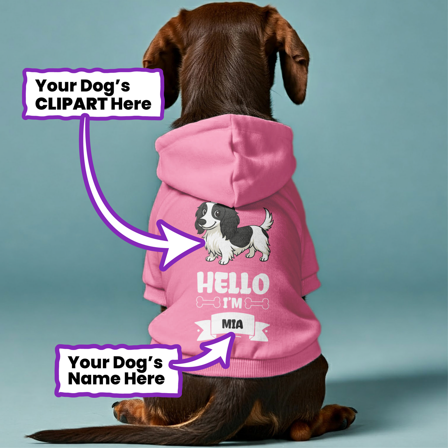 Hello – Personalized Dachshund Hoodies with Your Doxie’s Name & Clipart – Stylish, Cozy & Made from Premium 100% Cotton