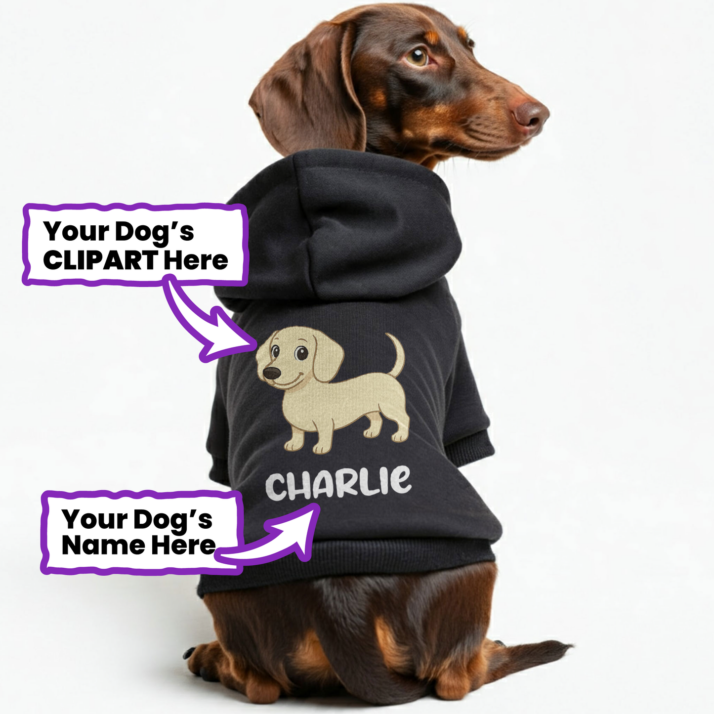 Charlie – Personalized Dachshund Hoodies with Your Doxie’s Name & Clipart – Stylish, Cozy & Made from Premium 100% Cotton