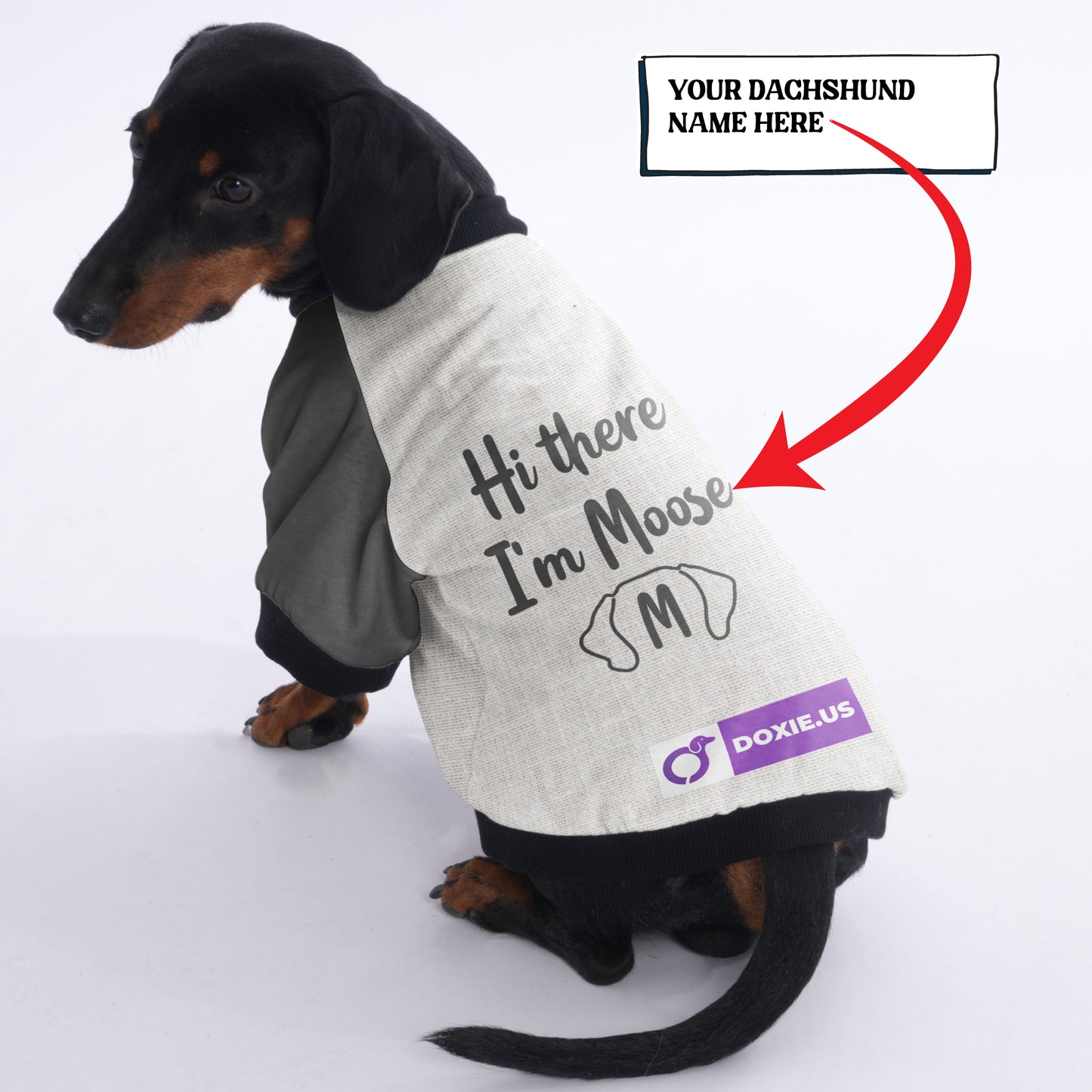 Personalized Doxie Jacket with Your Pup's Name