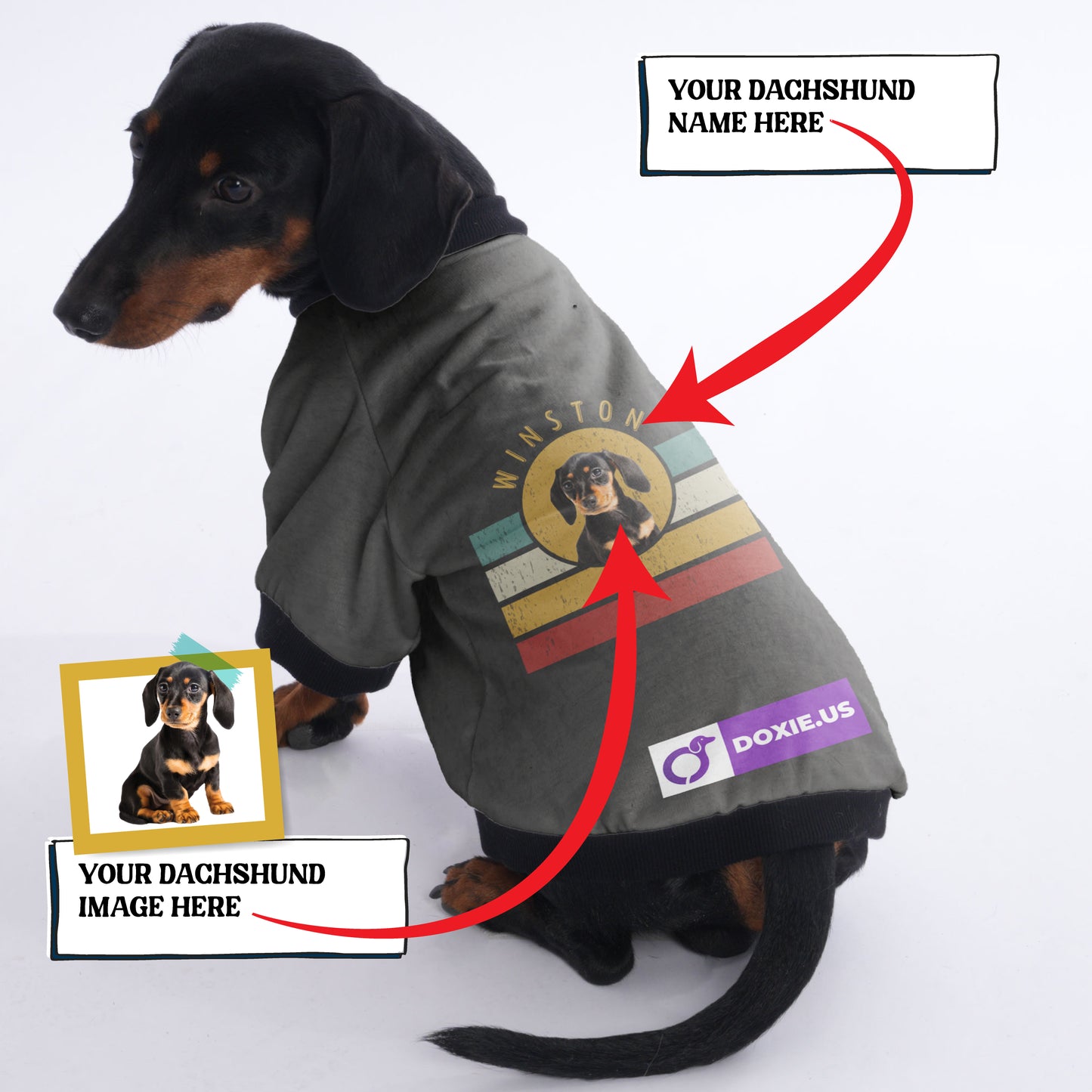 Personalized Dachshund Jacket with Your Dog's Name and Picture