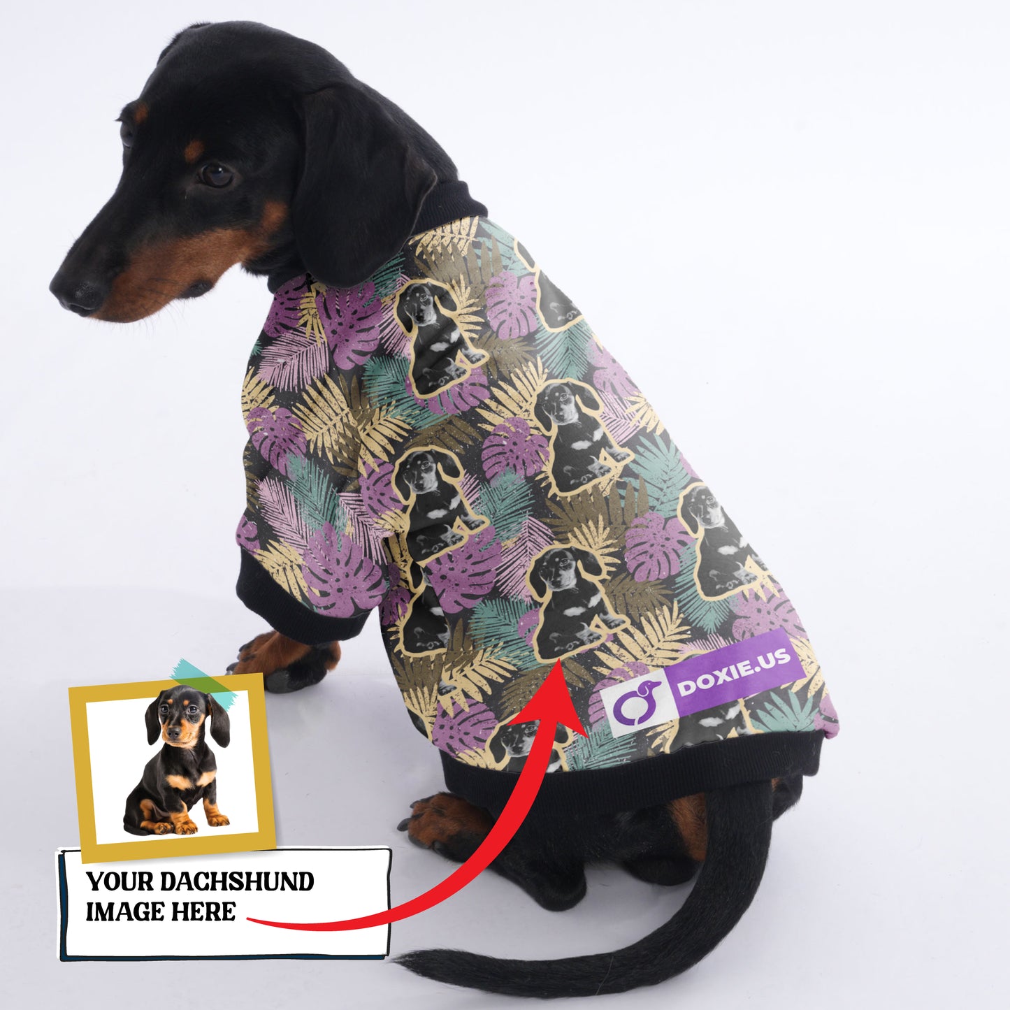 Personalized Doxie Jacket with Your Pup's  picture