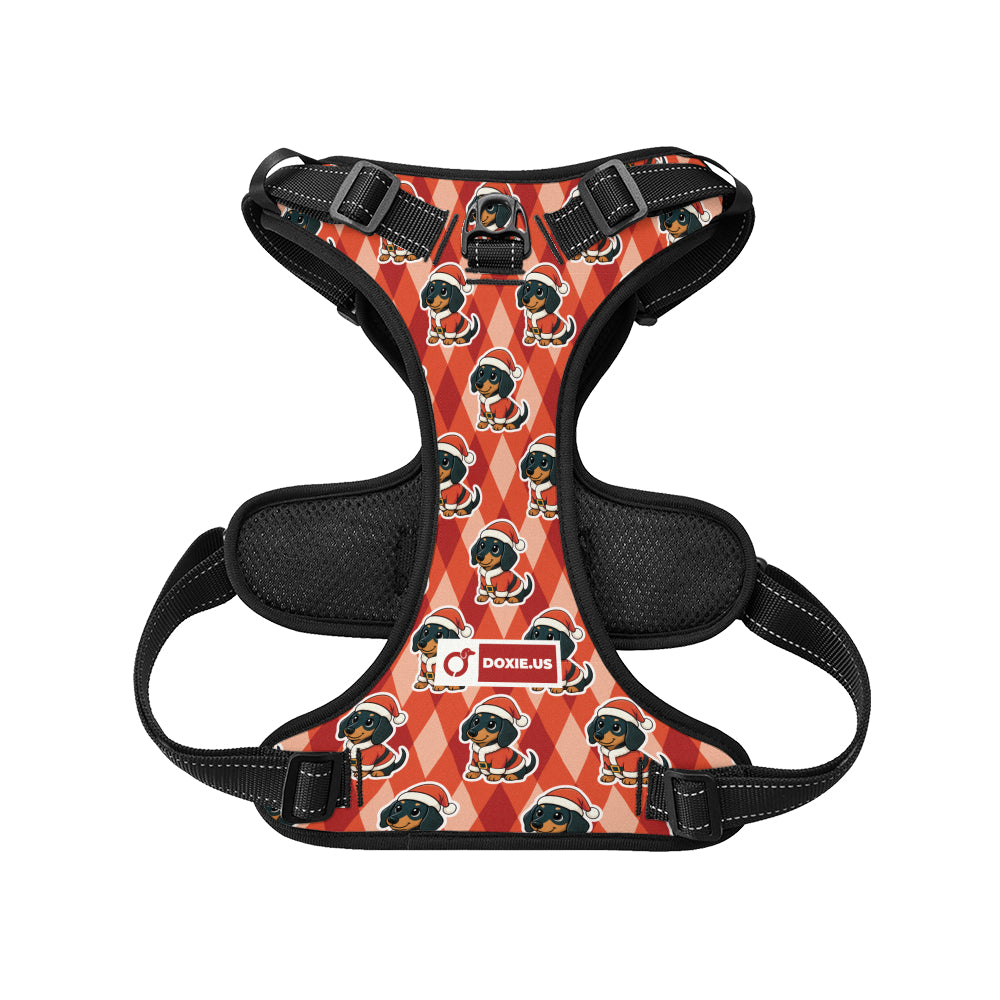 Jack -  No-Pull Dachshund Dog Harness