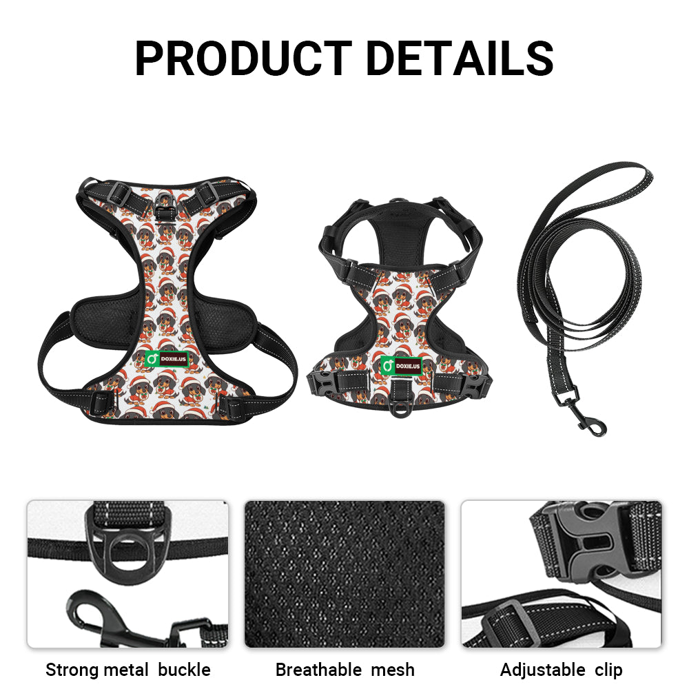 Kevin -  No-Pull Dachshund Dog Harness