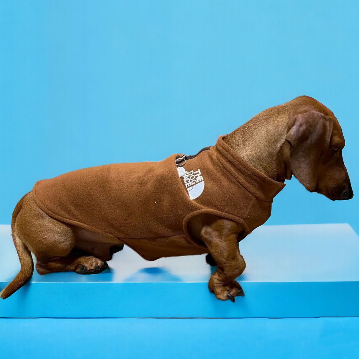 The Dog Face Dachshund Jacket Premium Fleece for Cold-Weather Comfort