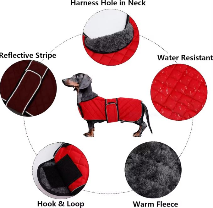 Dachshund Quilted Warm Winter Coat