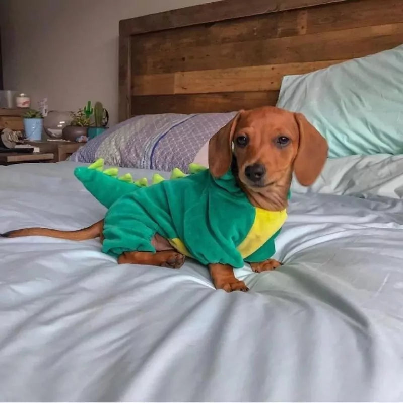 dachshund-dinosaur-costume-www.doxie.us